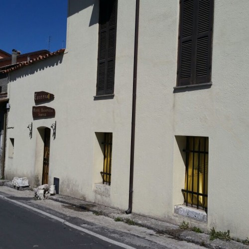 leonessa8